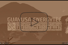 Matchachin Video (YouTube)